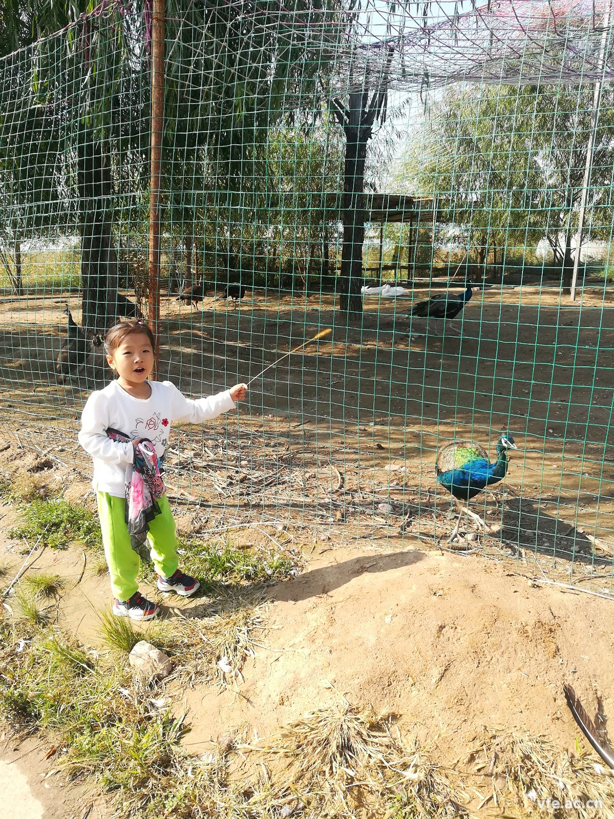 內(nèi)蒙之行，難忘之旅