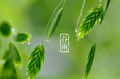 谷雨，播種希望
