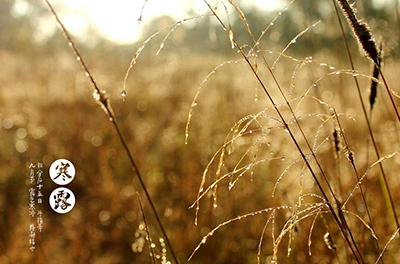 寒露已至，注意添衣防寒